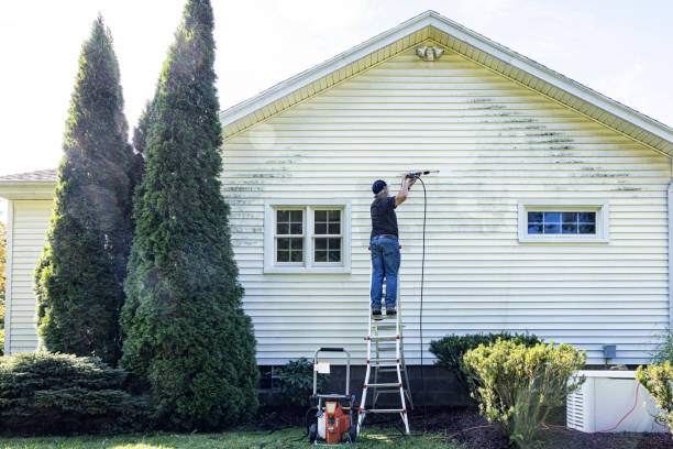 Animal Enclosure Cleaning in Granby, CO